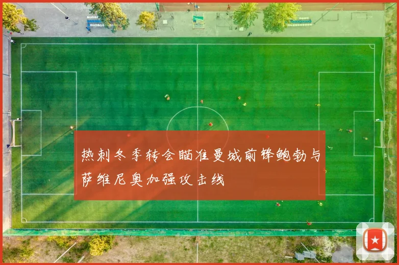 热刺冬季转会瞄准曼城前锋鲍勃与萨维尼奥加强攻击线