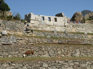 Tres ventanas