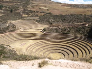 Moray